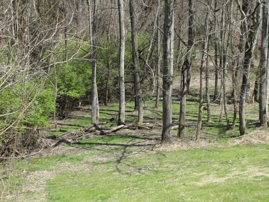 319 Edgefield Road Piney Flats, TN 37686 - Photo 29 of 30 Photo 29