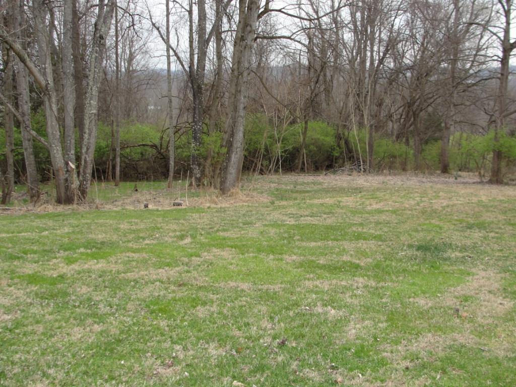 319 Edgefield Road Piney Flats, TN 37686 - Photo 4 of 30 Photo 4