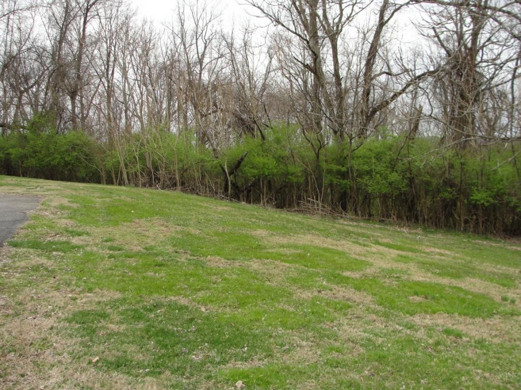 319 Edgefield Road Piney Flats, TN 37686 - Photo 5 of 30 Photo 5