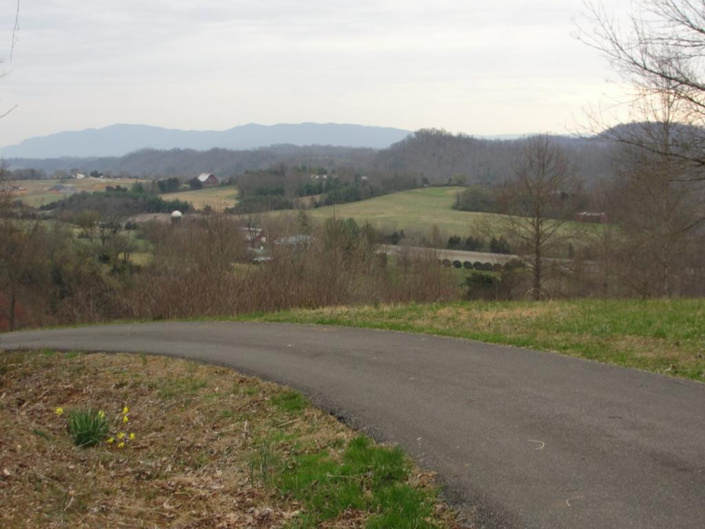 319 Edgefield Road Piney Flats, TN 37686 - Photo 6 of 30 Photo 6
