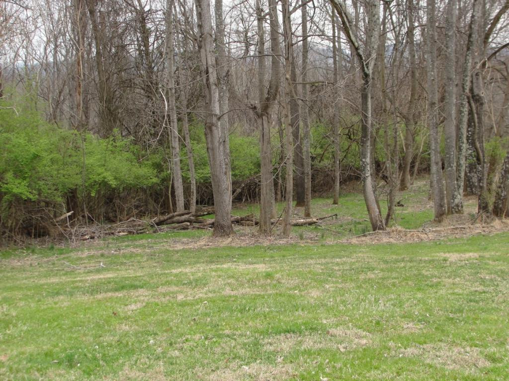 319 Edgefield Road Piney Flats, TN 37686 - Photo 7 of 30 Photo 7
