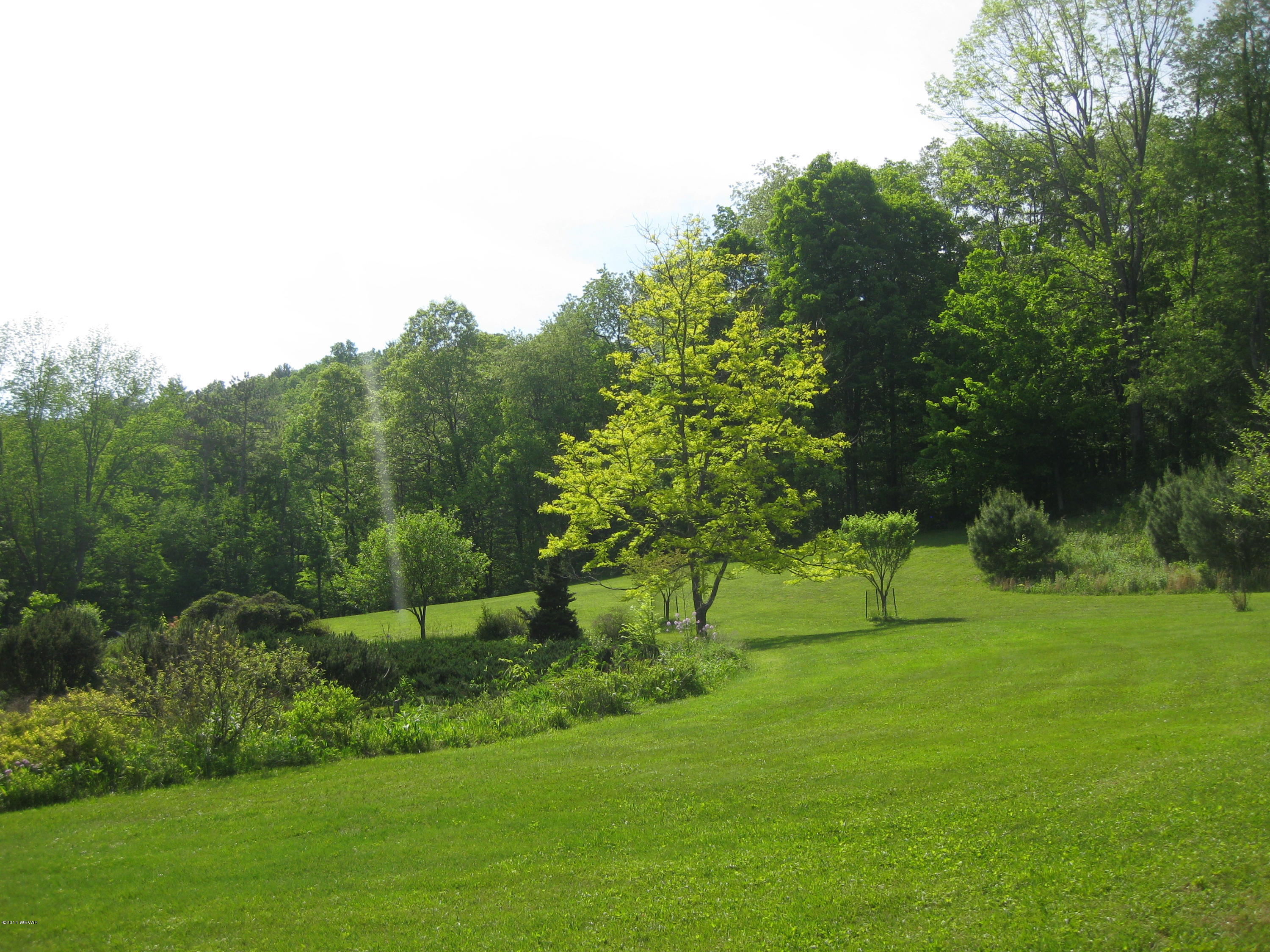 312 Almost Country Road Cogan Station, PA 17728 - Photo 7 of 29 Yard