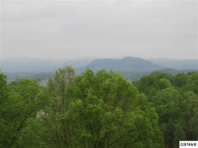 1008 Tramel Road Sevierville, TN 37862 - Photo 4 of 10