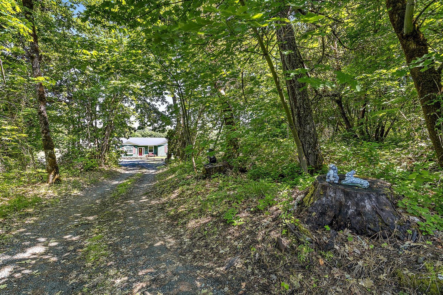 845 Riverbanks Road Grants Pass, OR 97527 - Photo 27 of 28 Driveway leading to home!