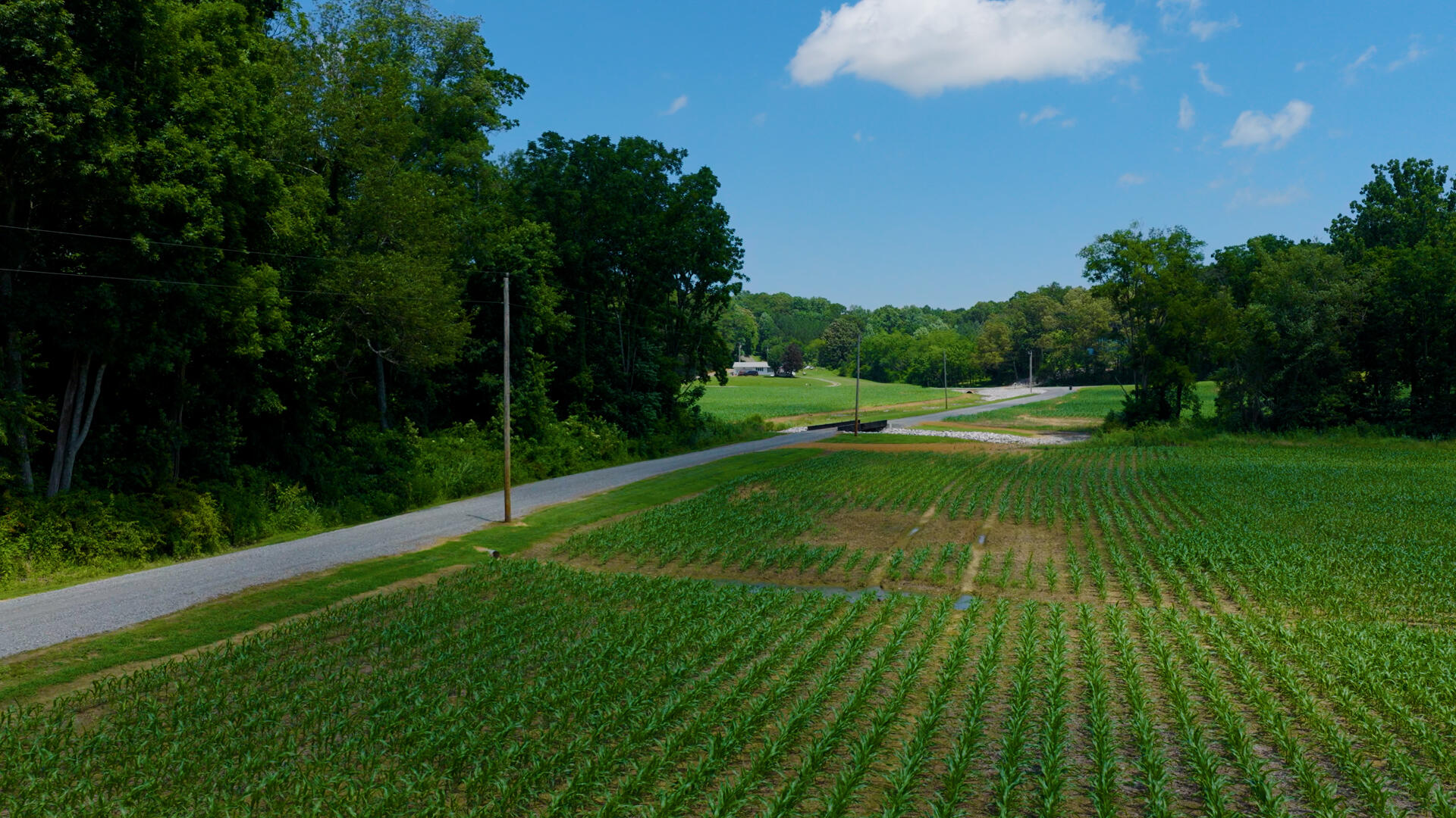 5279 State Line Road East Hazel, KY 42049 - Photo 68 of 93 43