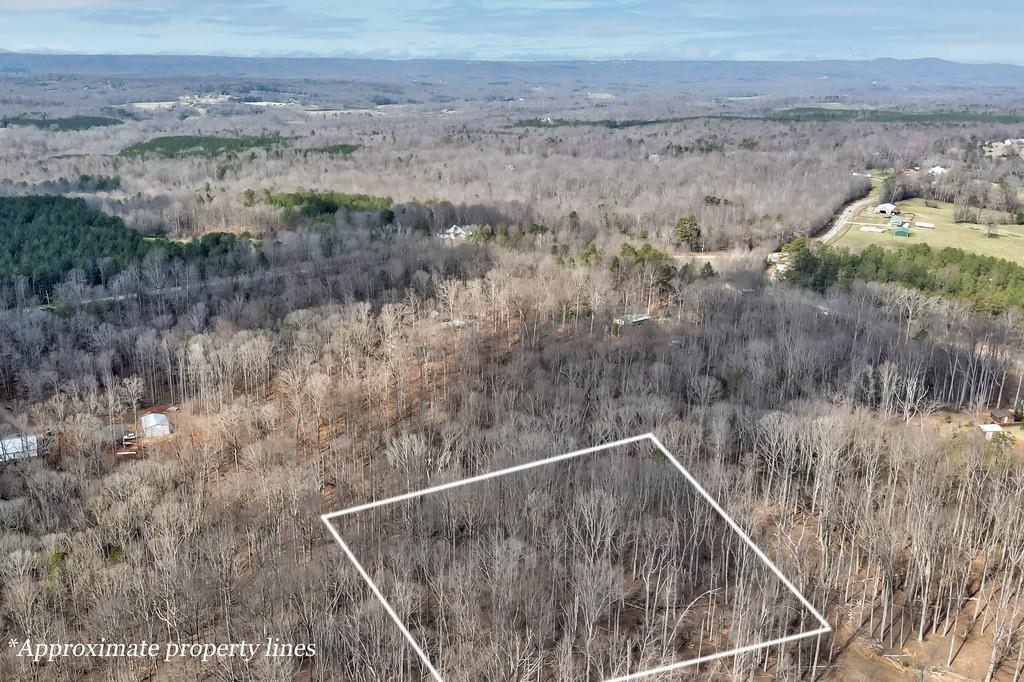 0 Scales Creek Road Homer, GA 30547 - Photo 5 of 13 a view of a dry yard
