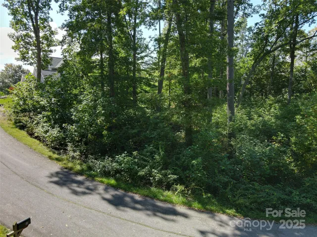 a view of a forest with trees