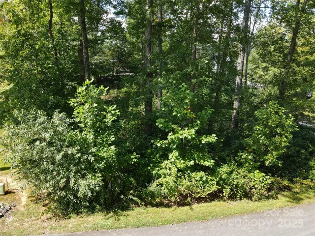 a view of a yard with plants