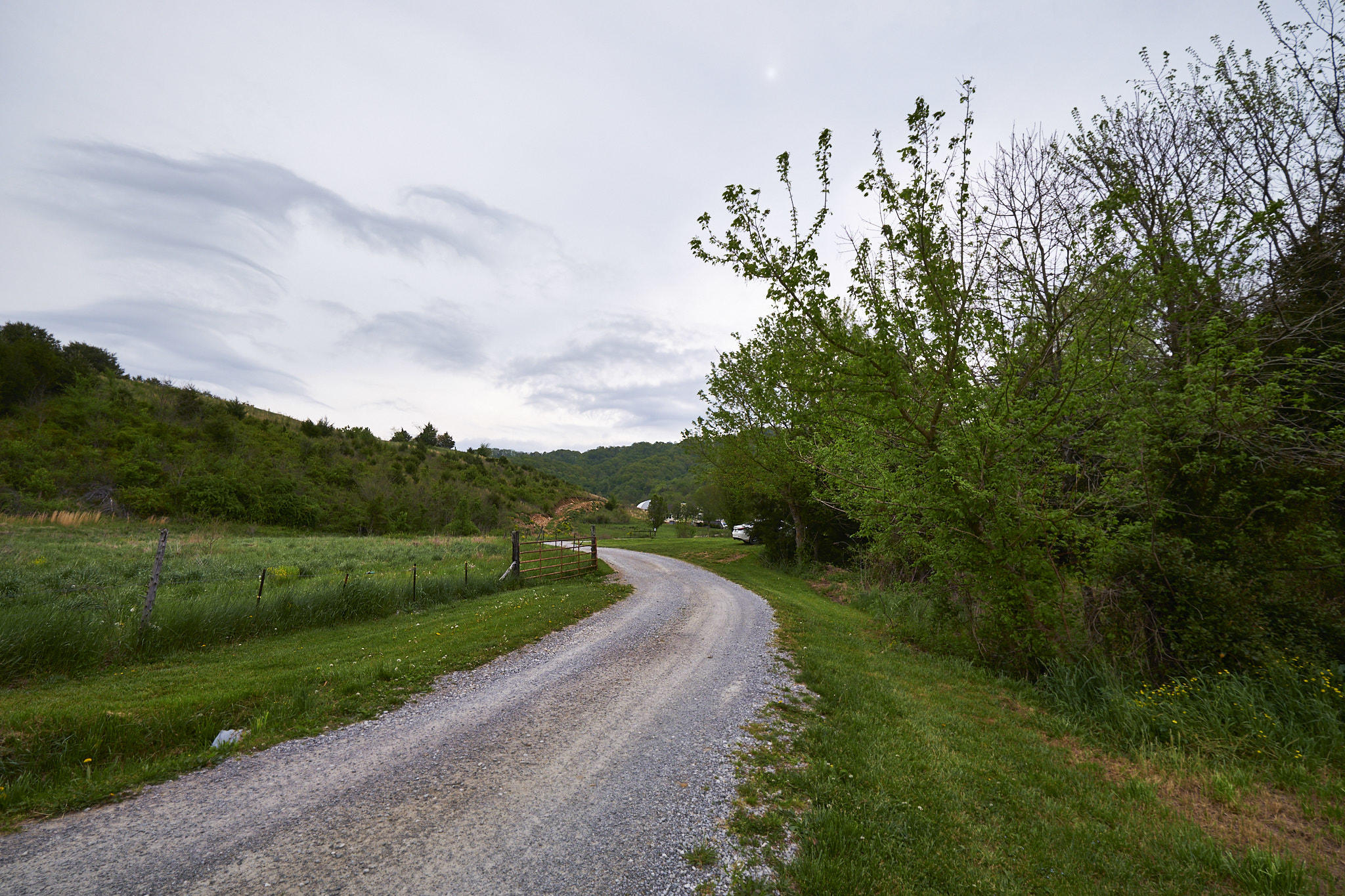 124.2-acres Round Barn Road Powder Springs, TN 37848 - Photo 22 of 33 Round Barn Rd. Justin Fee Photography 19