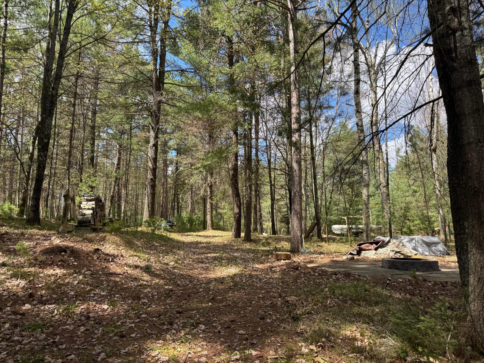 8522 Camp Pinemere Road Minocqua, WI 54548 - Photo 8 of 25 Gallery Image 8