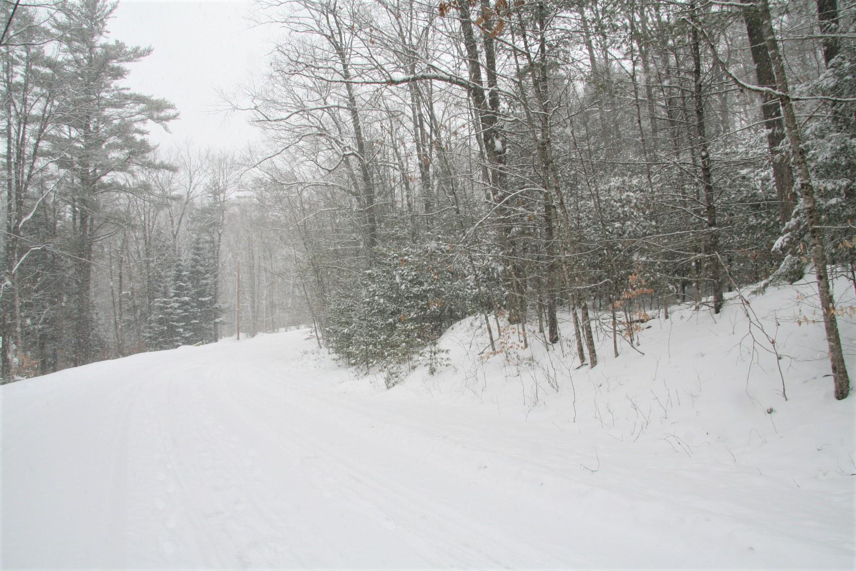 On Copenhagen Road Waterford, VT 05819 - Photo 3 of 14
