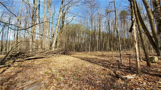 $34,900 | Lot 5 Goddards Road, Hartwick, NY 13348