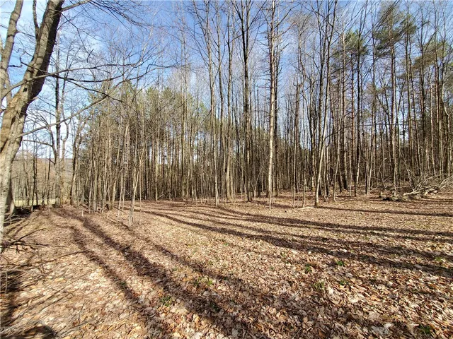 $34,900 | Lot 5 Goddards Road, Hartwick, NY 13348