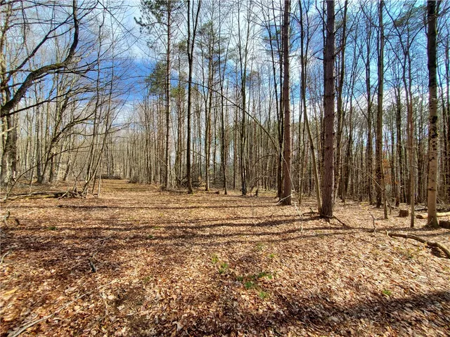 $34,900 | Lot 5 Goddards Road, Hartwick, NY 13348