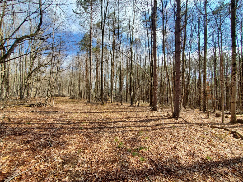 Lot 5 Goddards Road Hartwick, NY 13348 - Photo 13 of 21