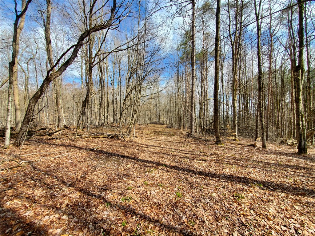 Lot 5 Goddards Road Hartwick, NY 13348 - Photo 14 of 21