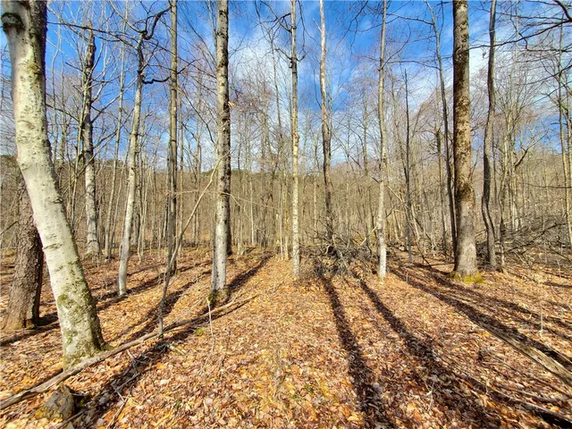 $34,900 | Lot 5 Goddards Road, Hartwick, NY 13348