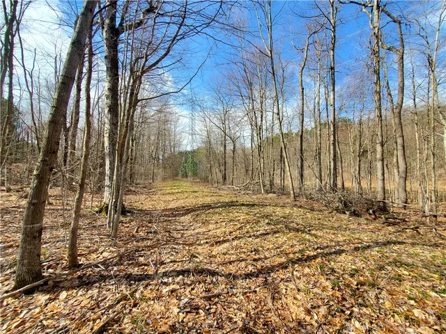 $34,900 | Lot 5 Goddards Road, Hartwick, NY 13348