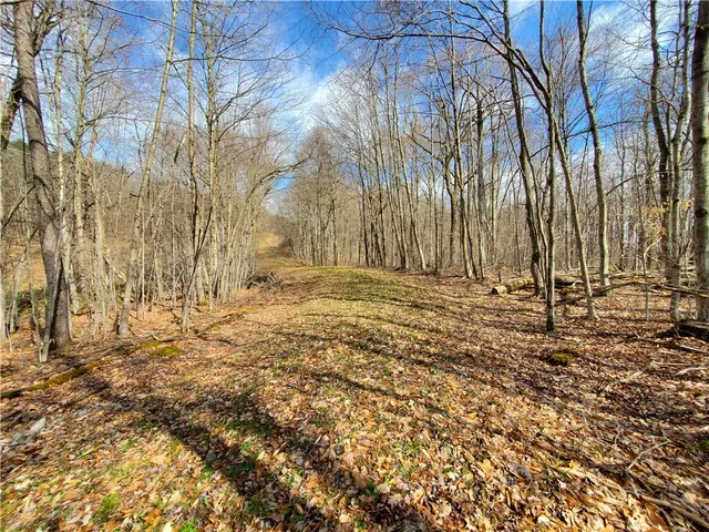 $34,900 | Lot 5 Goddards Road, Hartwick, NY 13348