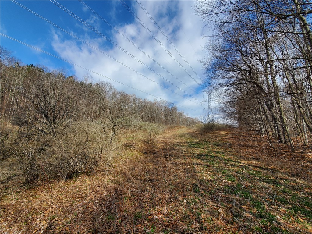 Lot 5 Goddards Road Hartwick, NY 13348 - Photo 19 of 21