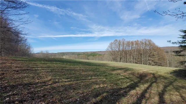 $34,900 | Lot 5 Goddards Road, Hartwick, NY 13348