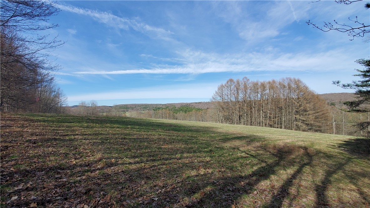 Lot 5 Goddards Road Hartwick, NY 13348 - Photo 2 of 21