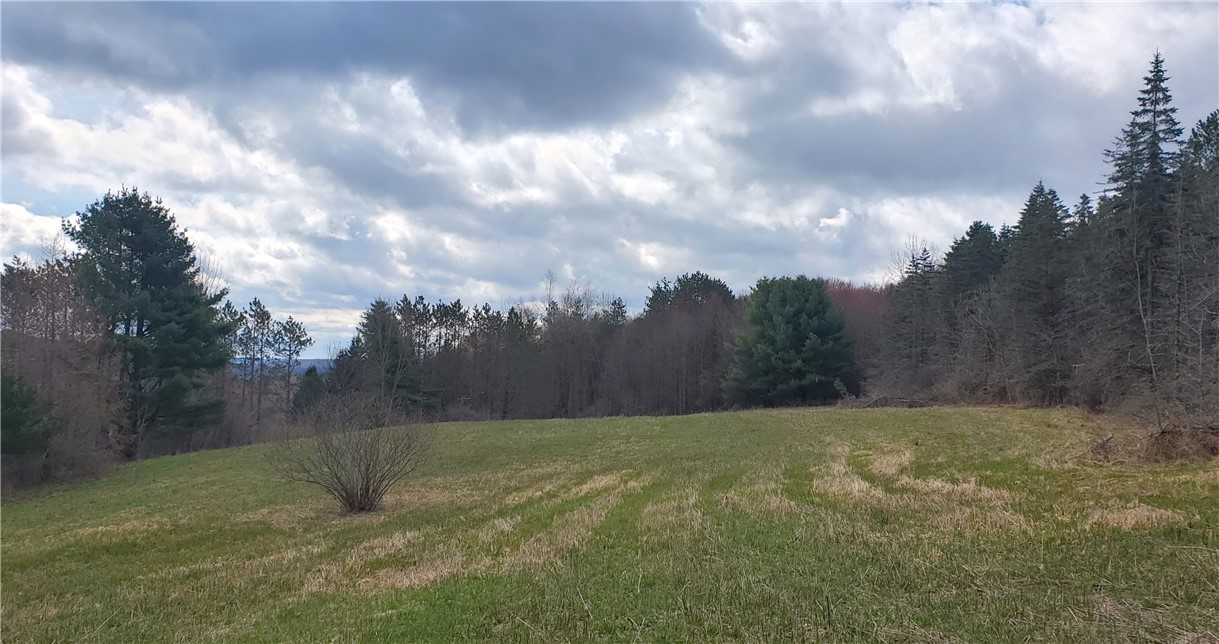 Lot 5 Goddards Road Hartwick, NY 13348 - Photo 4 of 21