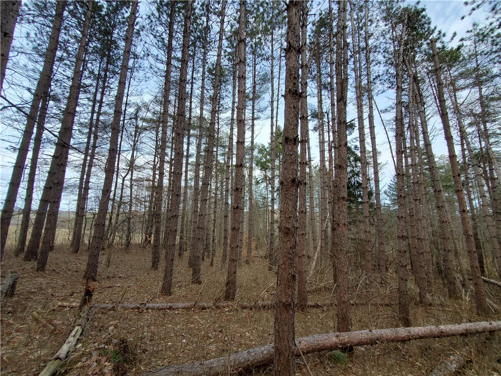 Lot 5 Goddards Road Hartwick, NY 13348 - Photo 5 of 21