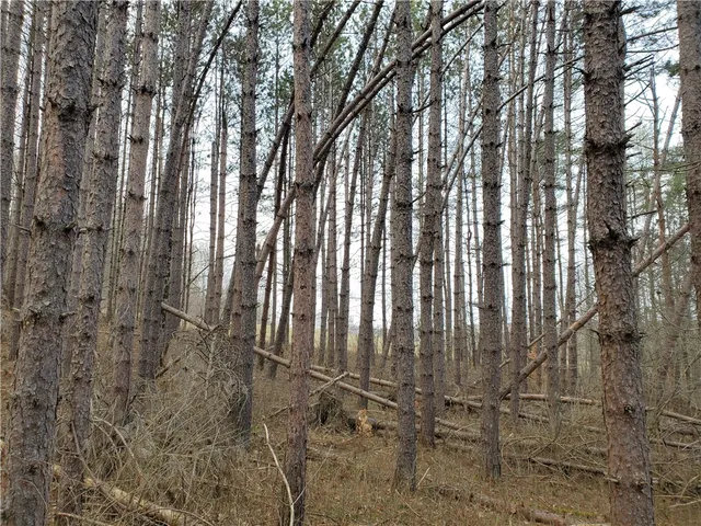 $34,900 | Lot 5 Goddards Road, Hartwick, NY 13348