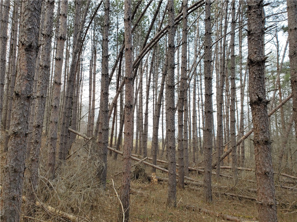 Lot 5 Goddards Road Hartwick, NY 13348 - Photo 6 of 21