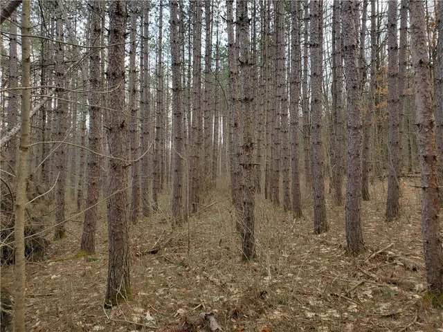 $34,900 | Lot 5 Goddards Road, Hartwick, NY 13348