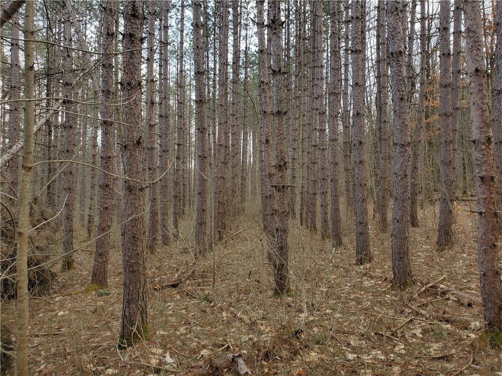 Lot 5 Goddards Road Hartwick, NY 13348 - Photo 7 of 21