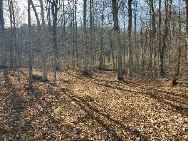 $34,900 | Lot 5 Goddards Road, Hartwick, NY 13348