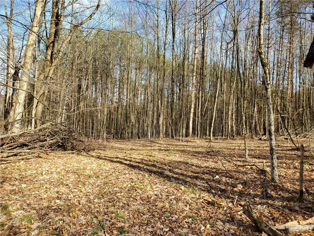 $34,900 | Lot 5 Goddards Road, Hartwick, NY 13348