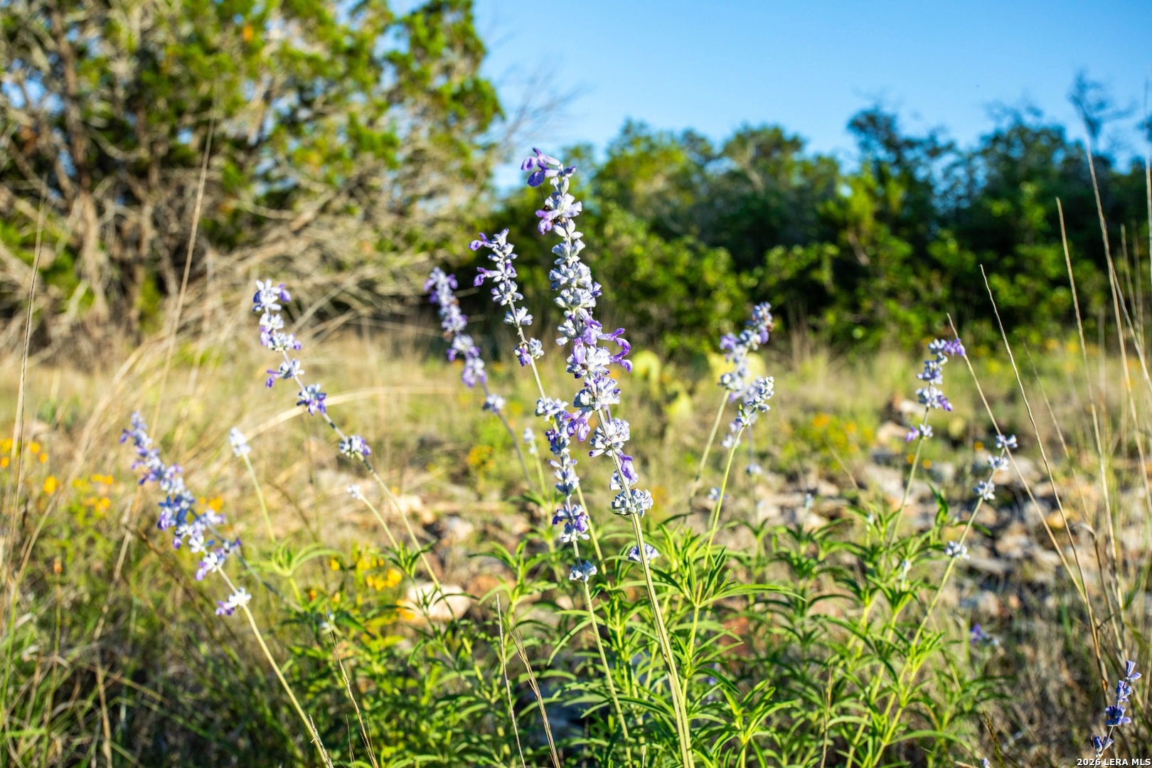 230 Camino Real Road Junction, TX 76849 - Photo 27 of 35 Gallery Image 27