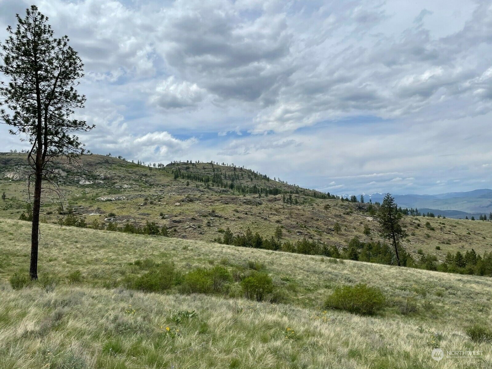 -tbd Hardy Road Riverside, WA 98849 - Photo 3 of 9 Gallery Image 3