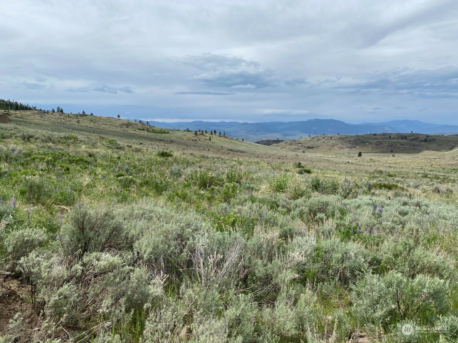 -tbd Hardy Road Riverside, WA 98849 - Photo 4 of 9 Gallery Image 4