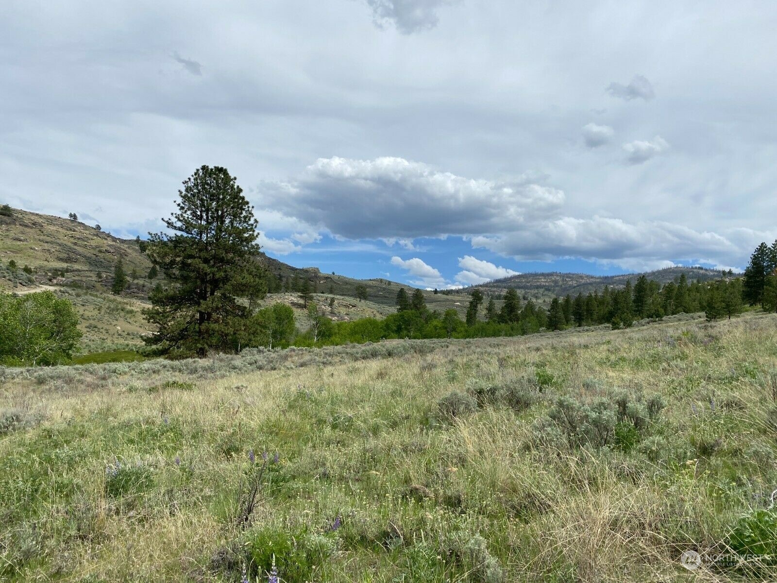 -tbd Hardy Road Riverside, WA 98849 - Photo 6 of 9 Gallery Image 6