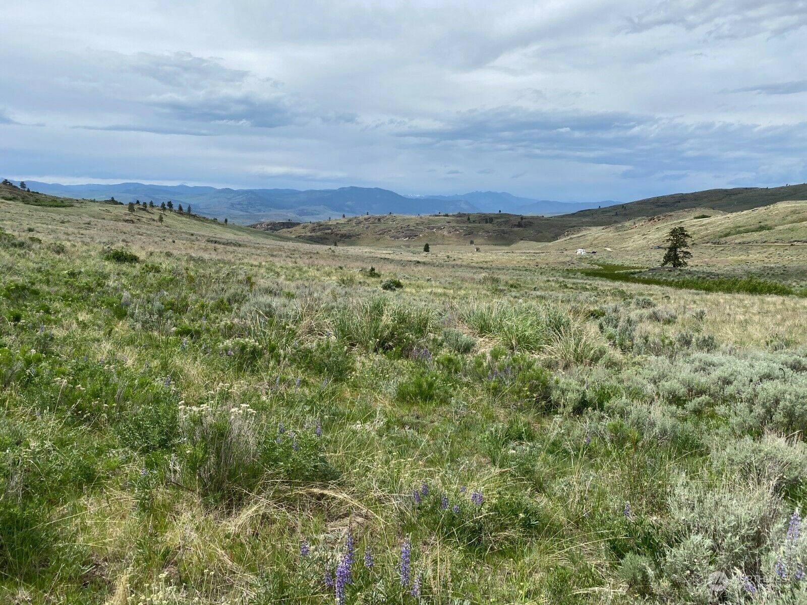 -tbd Hardy Road Riverside, WA 98849 - Photo 7 of 9 Gallery Image 7