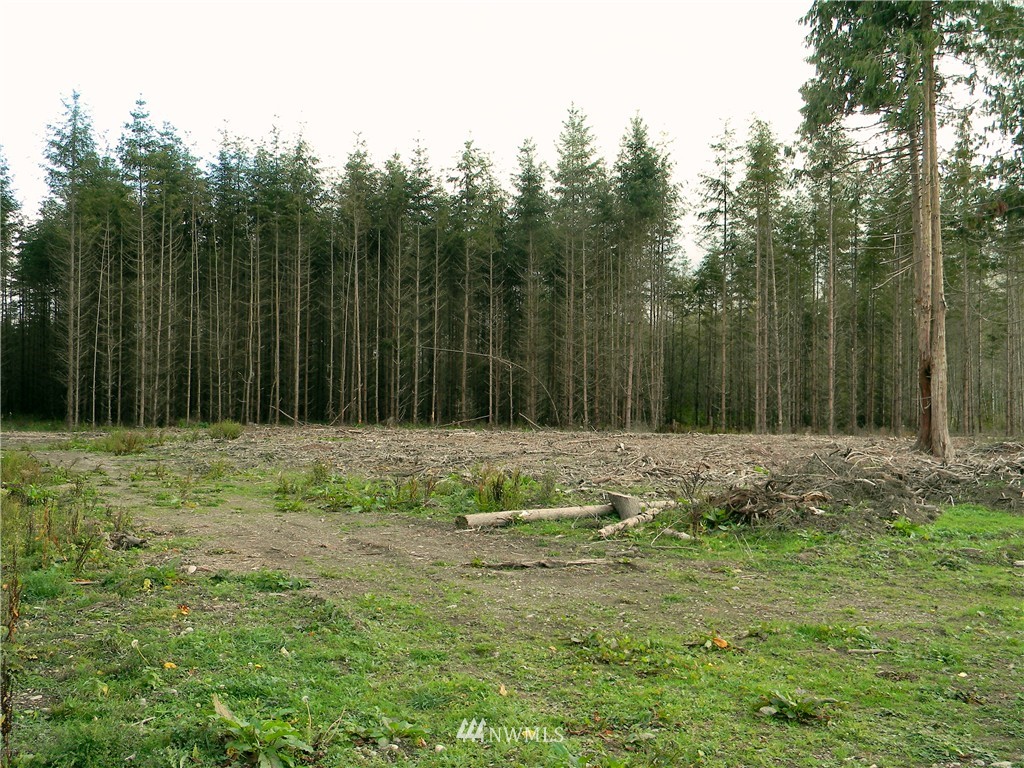 1091 4 Corners Road Port Hadlock, WA 98339 - Photo 11 of 12 Gallery Image 11