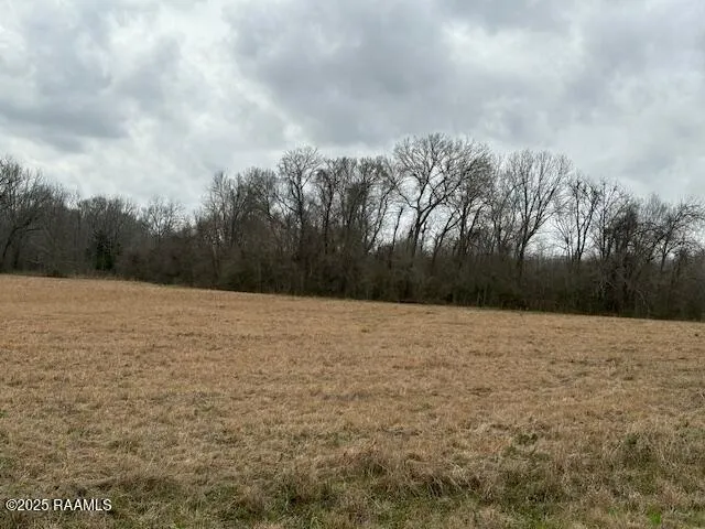 $220,000 | 0 Grand Prairie Highway, Washington, LA 70589