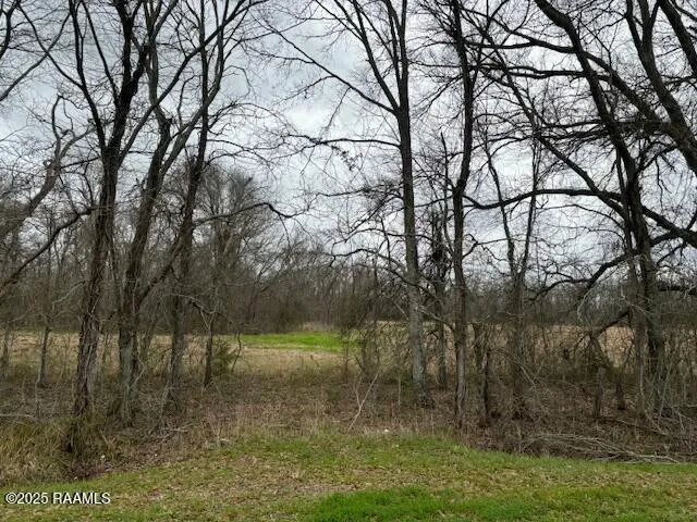 $220,000 | 0 Grand Prairie Highway, Washington, LA 70589