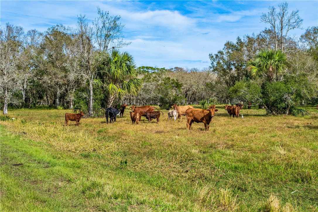 32000 Okeechobee Road Fort Pierce, FL 34987 - Photo 12 of 35 Gallery Image 12