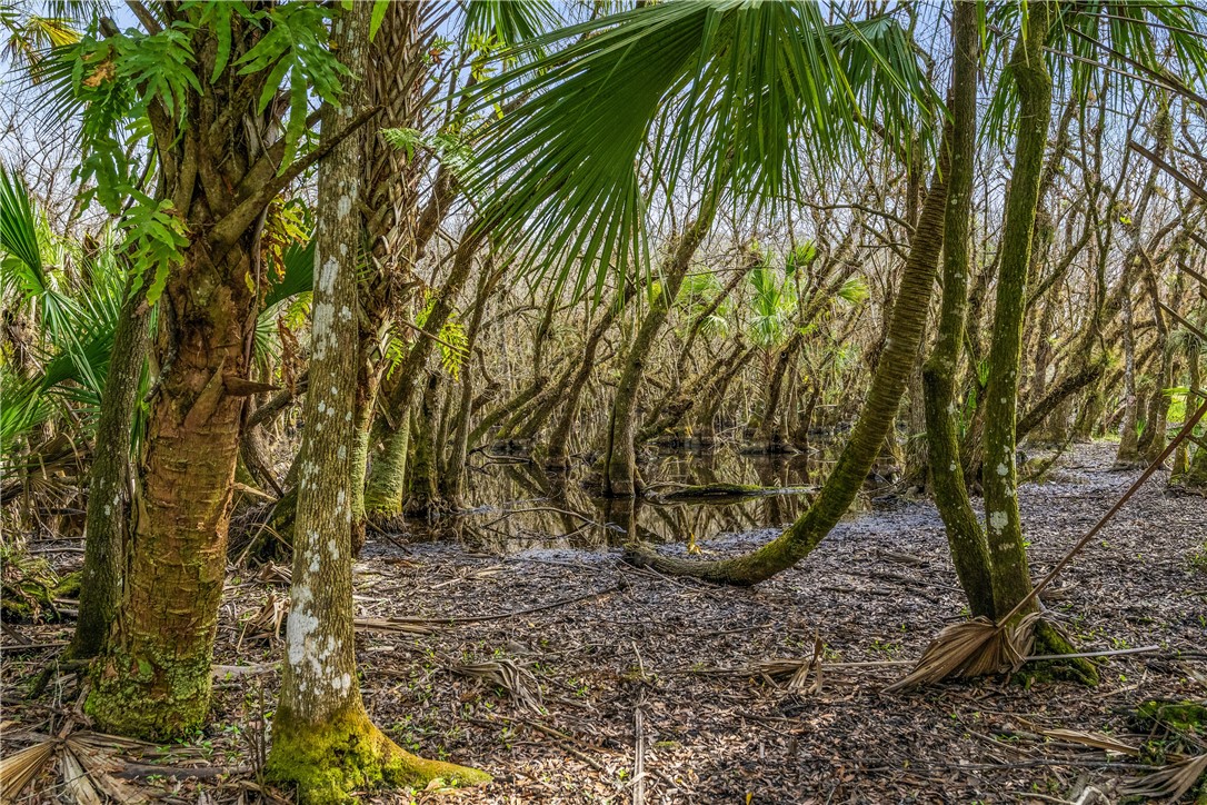 32000 Okeechobee Road Fort Pierce, FL 34987 - Photo 13 of 35 Gallery Image 13