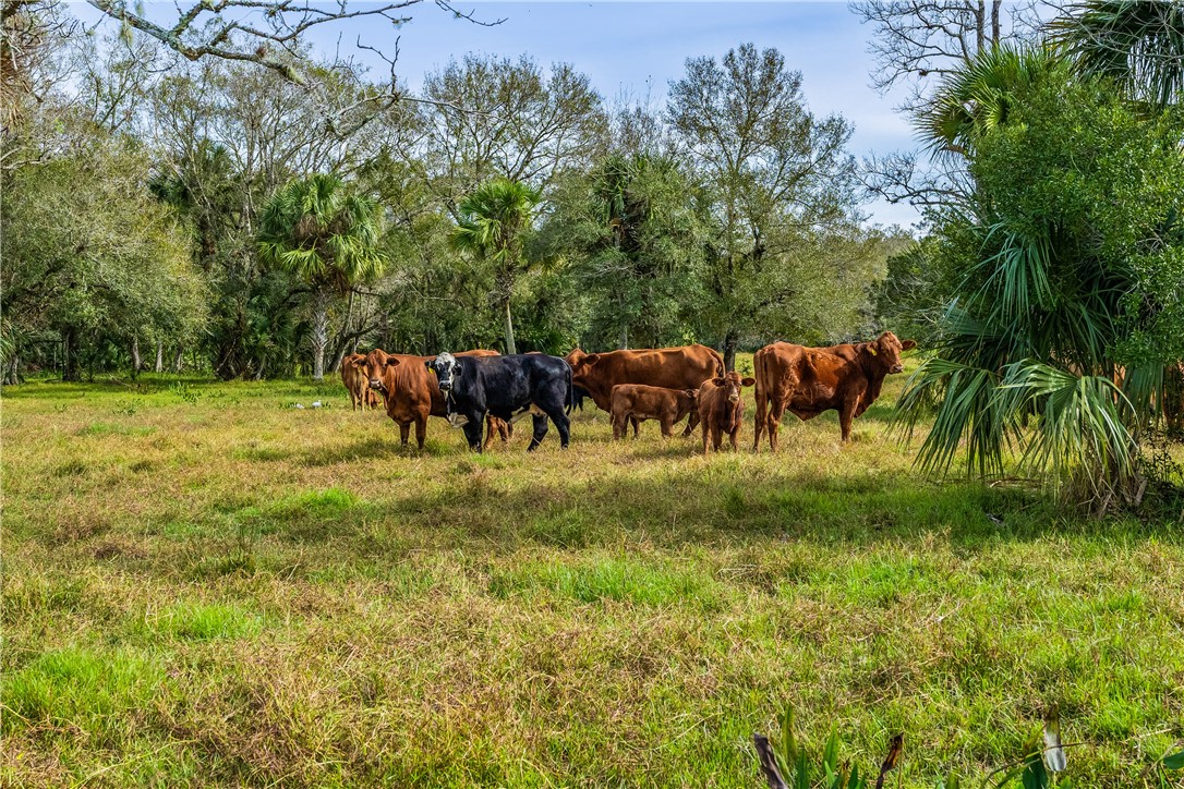 32000 Okeechobee Road Fort Pierce, FL 34987 - Photo 14 of 35 Gallery Image 14