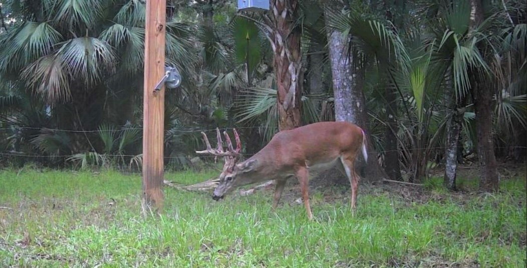 32000 Okeechobee Road Fort Pierce, FL 34987 - Photo 27 of 35 Gallery Image 27