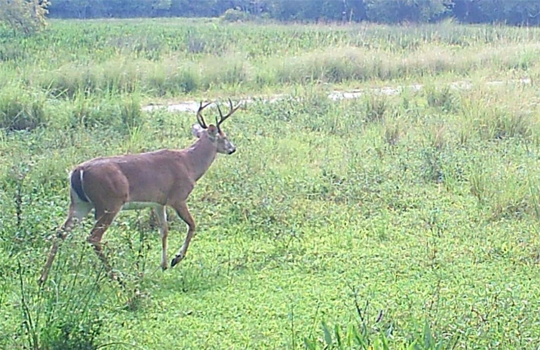 32000 Okeechobee Road Fort Pierce, FL 34987 - Photo 30 of 35 Gallery Image 30