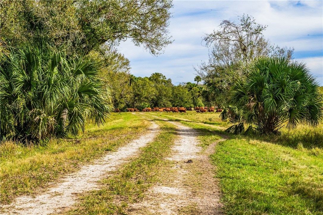 32000 Okeechobee Road Fort Pierce, FL 34987 - Photo 3 of 35 Gallery Image 3