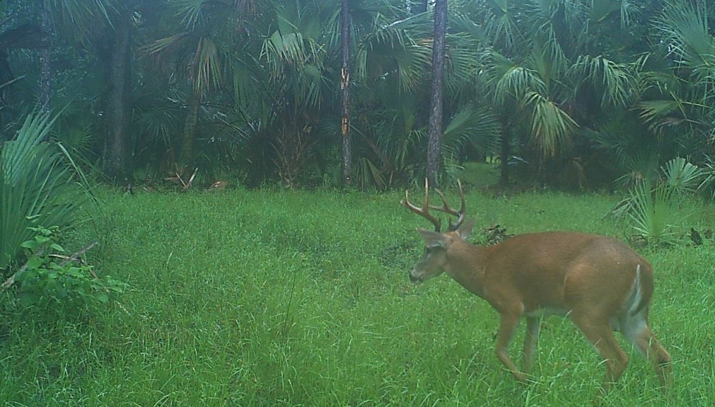 32000 Okeechobee Road Fort Pierce, FL 34987 - Photo 31 of 35 Gallery Image 31