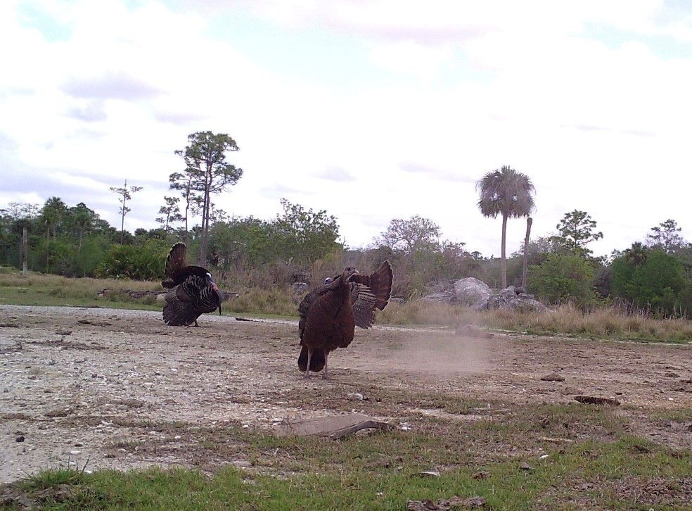 32000 Okeechobee Road Fort Pierce, FL 34987 - Photo 33 of 35 Gallery Image 33